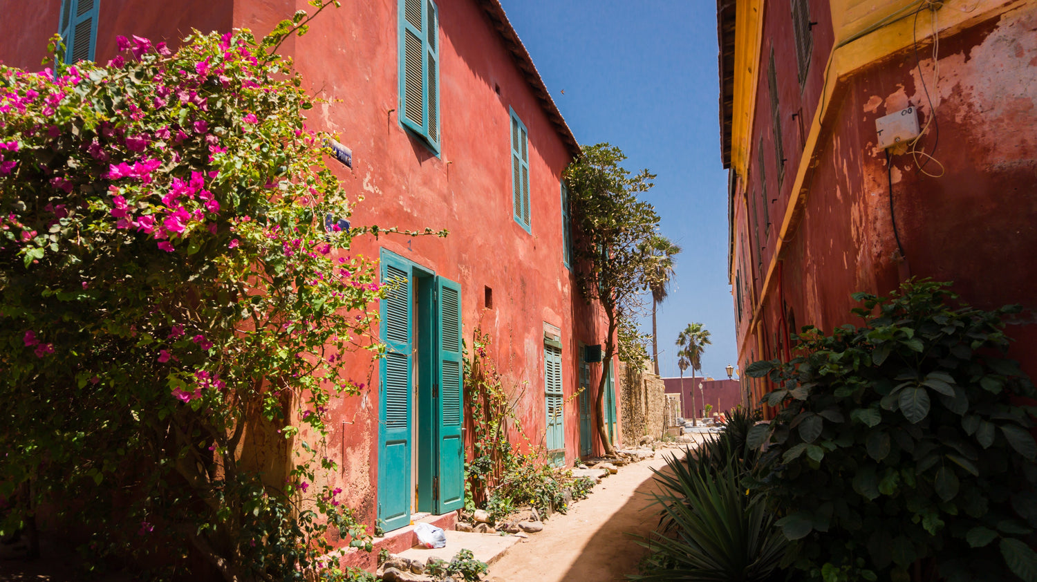 From Dakar with Love : Une Invitation au Voyage