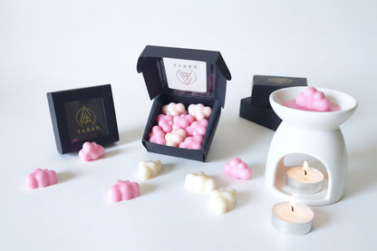 Boîte de 16 Nuages – Red Fruits & Tobacco