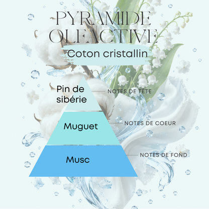 Diffuseurs de parfum pour voiture - Coton Cristallin - 10 ml