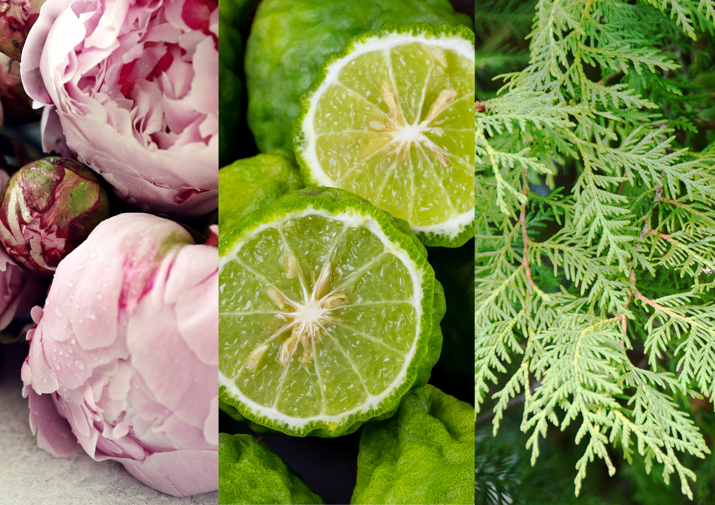 Huile parfumée - Jardin suspendu - 30ml