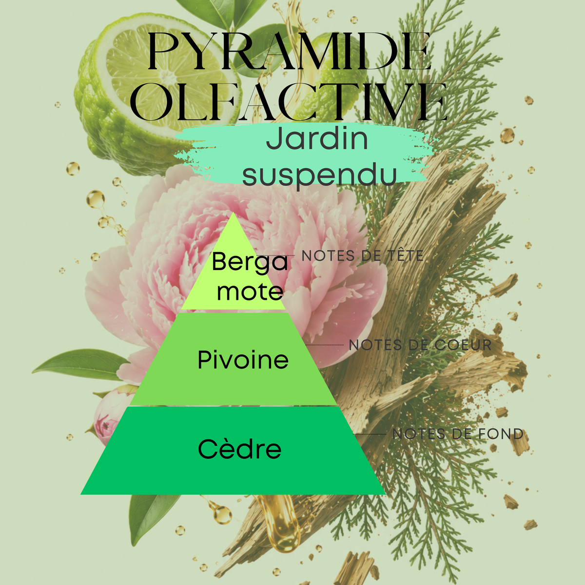 Coffret Découverte – 5 univers au choix | 3 Huiles Parfumées à Brûler (3 × 10 ml)